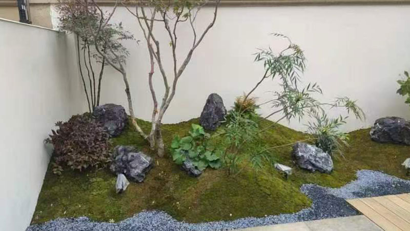 绿植造景