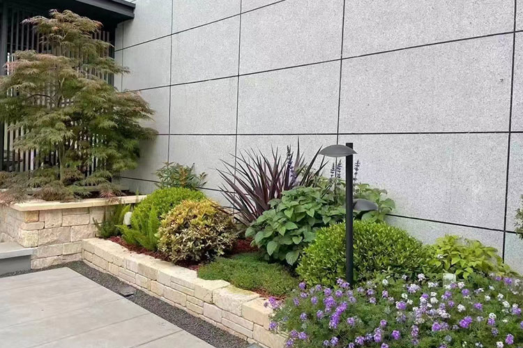 绿植造景
