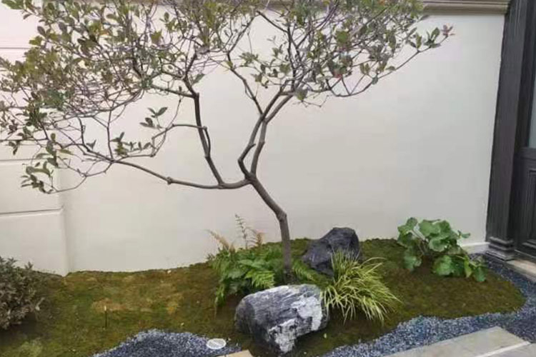 绿植造景